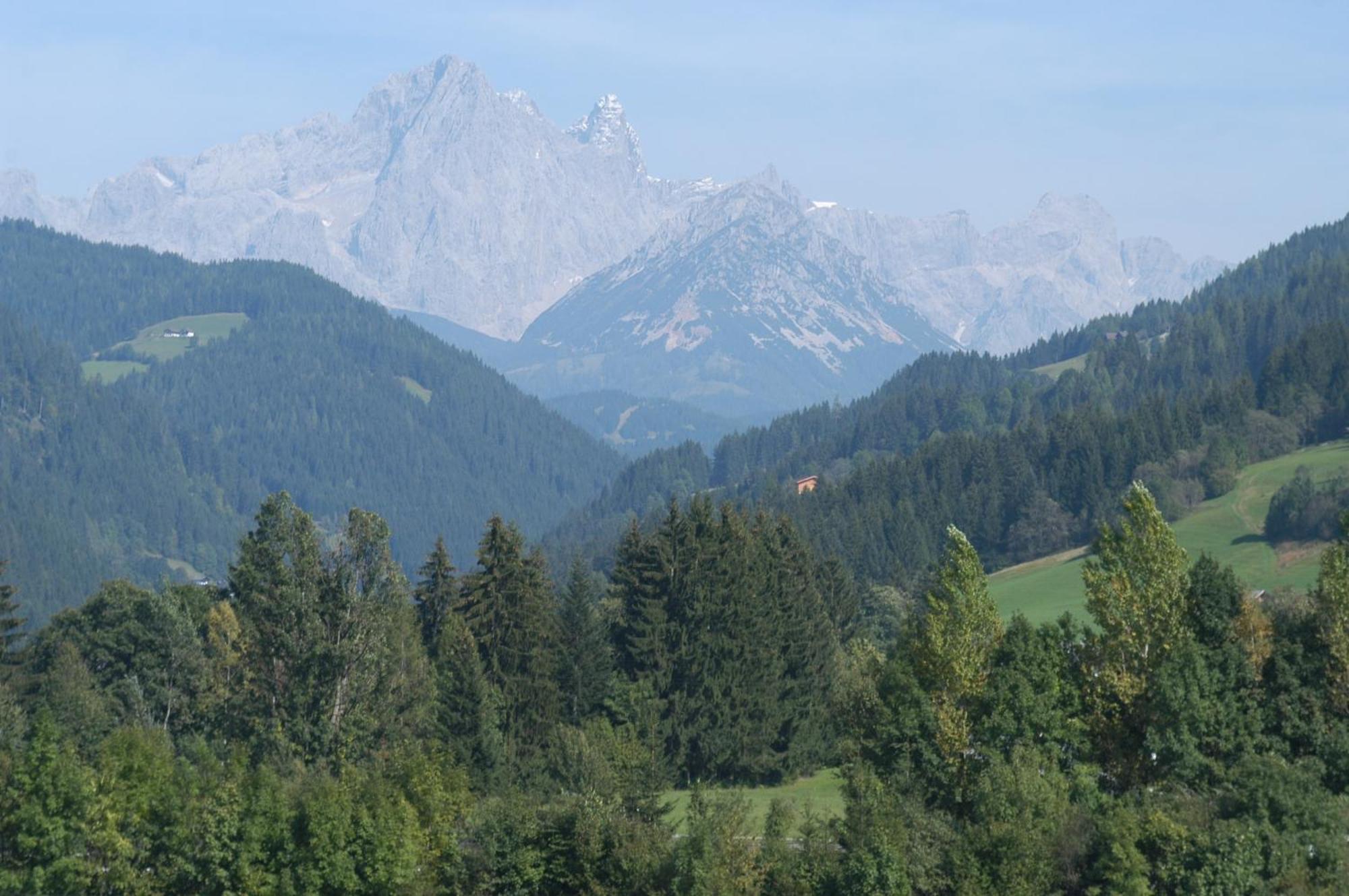 Haus Dachstein Schnitzer Hotel อีเบิน อิม พอนเกา ภายนอก รูปภาพ