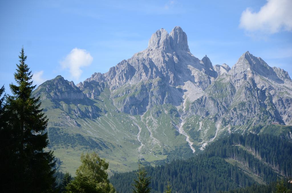 Haus Dachstein Schnitzer Hotel อีเบิน อิม พอนเกา ภายนอก รูปภาพ