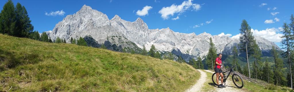 Haus Dachstein Schnitzer Hotel อีเบิน อิม พอนเกา ภายนอก รูปภาพ
