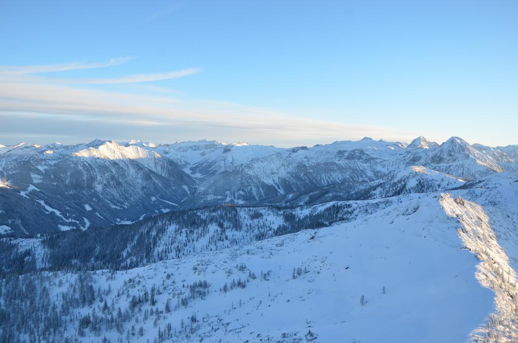 Haus Dachstein Schnitzer Hotel อีเบิน อิม พอนเกา ภายนอก รูปภาพ